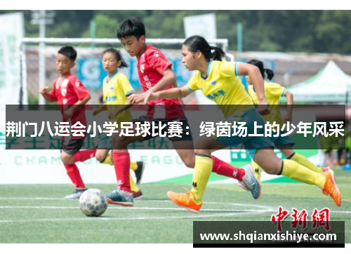 荆门八运会小学足球比赛：绿茵场上的少年风采